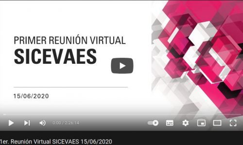 Primera Reunión virtual SICEVAES - Julio 2020