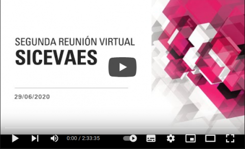 Segunda Reunión virtual SICEVAES - Julio 2020