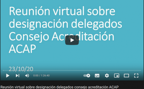 Reunión virtual sobre designación delegados consejo acreditación ACAP - Noviembre 2020