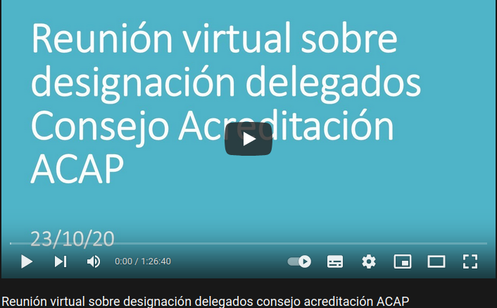 Reunión virtual sobre designación delegados consejo acreditación ACAP – Noviembre 2020