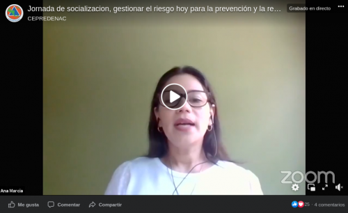 Día 3 Jornada de socialización “Gestionar el riesgo hoy para la prevención y la resiliencia mañana”- Julio 2020