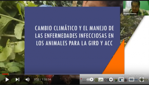 Cambio climático y el manejo de las enfermedades infecciosas en los animales para la GIRD - Junio 2021