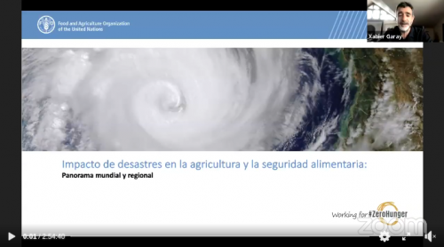 Gerencia del desastre para el sector agroalimentario - Julio 2021