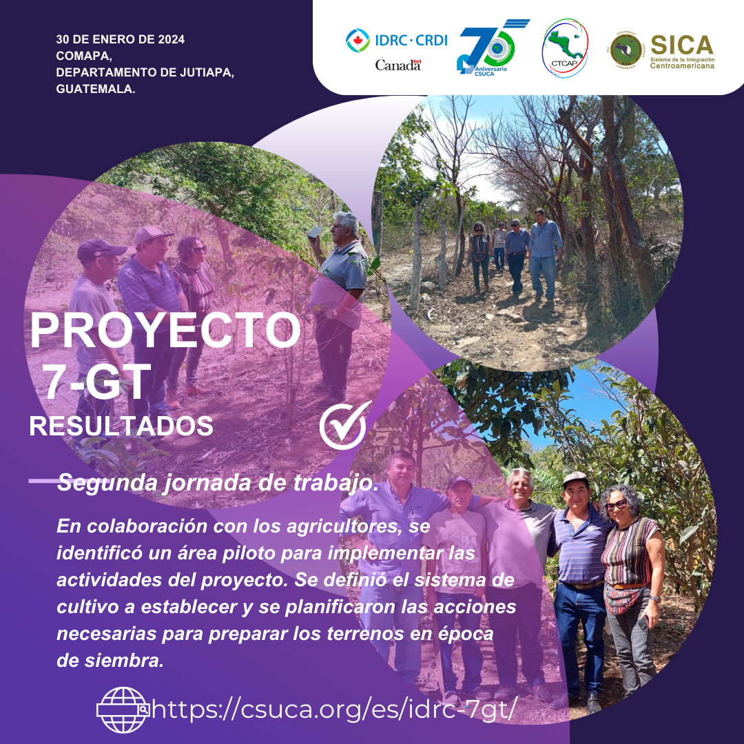 Avances del proyecto 7-Gt de Comapa, Jutiapa, Guatemala.